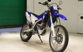 YAMAHA WR250R 2018 DG15J