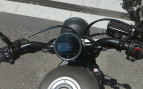 HONDA REBEL 500 2019 PC60