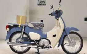 HONDA C50 SUPER CUB 2015 AA09