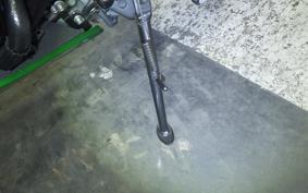 KAWASAKI H2 SXSE 2019 ZXT02A