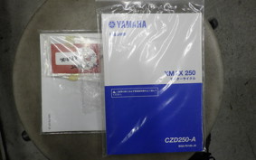 YAMAHA X-MAX 250 A 2021 SG42J