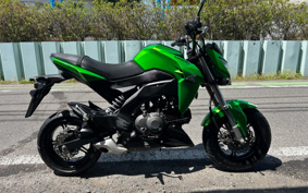 KAWASAKI Z125 PRO BR125H