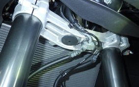 KAWASAKI NINJA 1000SX 2024 ZXT02K