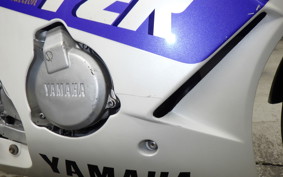 YAMAHA FZR250 2010 2KR
