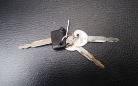 YAMAHA VOX DELUXE  SA31J