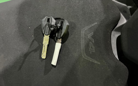 DUCATI STREET FIGHTER V4 2020 FA00