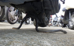 HONDA DIO Gen.5 AF56