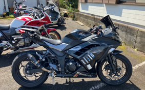 KAWASAKI NINJA 250 EX250L