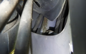 HONDA DIO GEN 3 2006 AF34