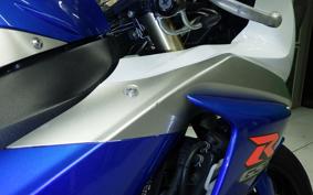 SUZUKI GSX-R1000 2010
