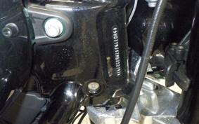 HARLEY FLSB 1750 2021