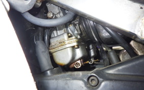 SUZUKI RG250 Gamma