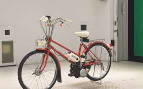 HONDA PEOPLE 2020 AB17