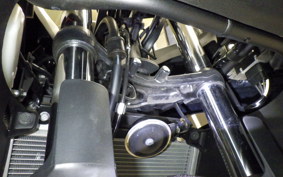 KAWASAKI NINJA 250 ABS 2024 EX250L