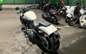 HARLEY FXBRS 2019 YHK