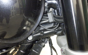 TRIUMPH SPEED TWIN 2025