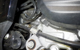 HONDA DUNK 2007 AF78