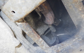 HONDA LEAD 125 JF45