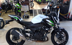 KAWASAKI Z250 EX250P