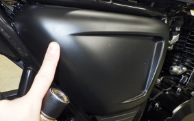 OTHER MUTT250 2006