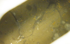 KAWASAKI NINJA 400 2015 EX400E