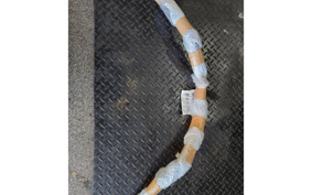 KAWASAKI W800 STREET 2019 EJ800B