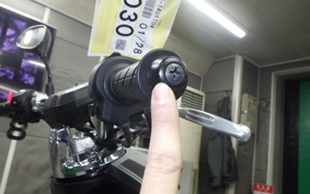 HONDA ﾀﾞﾝｸ 1998 AF78