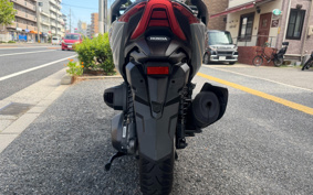 HONDA FORZA 250 MF17