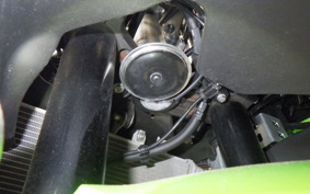 KAWASAKI ZX-4RR 2024 ZX400P