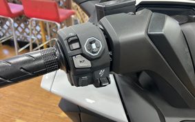 HONDA  FORZA 250 MF17