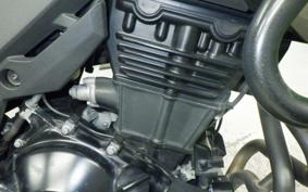 KAWASAKI VERSYS-X 250 A LE250D