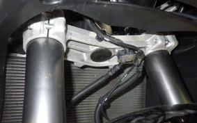 KAWASAKI NINJA 1000SX 2021 ZXT02K