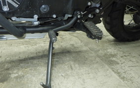 TRIUMPH SCRAMBLER 900 2023
