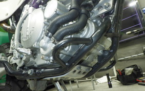 KAWASAKI KLX250 2022 LX250E