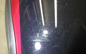 KAWASAKI W800 2025 EJ800E