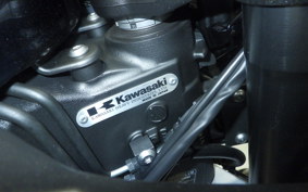 KAWASAKI NINJA 1000 SX 2021 ZXT02K