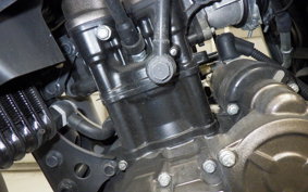 SUZUKI Vｽﾄﾛｰﾑ250SX 1994 EL11L