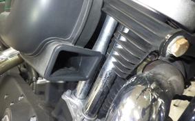HARLEY XL883N 2010