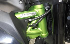 KAWASAKI Z900 Gen.2 2021 ZR900B