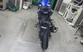 SUZUKI GSX250 R 2025