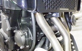 TRIUMPH TRIDENT 660 2024
