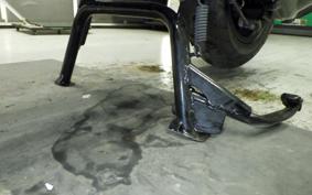 HONDA PS250 2014 MF09