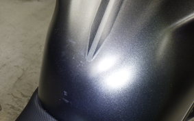 KAWASAKI Z250 Gen.2 2023 EX250Y