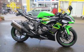 KAWASAKI NINJA ZX-6R 2019 ZX636G