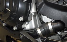 BMW S1000RR M DDC 2025