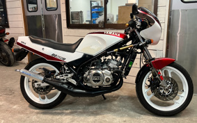 YAMAHA RZ250R 29L