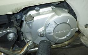 HONDA C110 SUPER CUB 2017 JA10