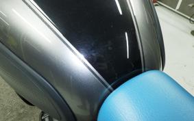 KAWASAKI W800 CAFE 2021 EJ800B