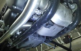 TRIUMPH SPEED TWIN 900 2024