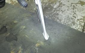 TRIUMPH TIGER 800 2011
